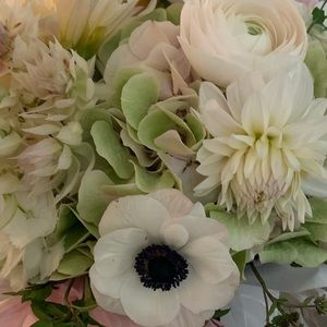 Meet your Posher, Mary